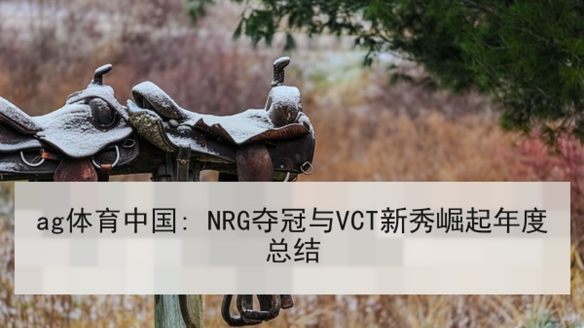 ag体育中国: NRG夺冠与VCT新秀崛起年度总结