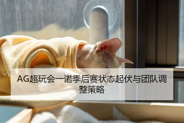 AG超玩会一诺季后赛状态起伏与团队调整策略