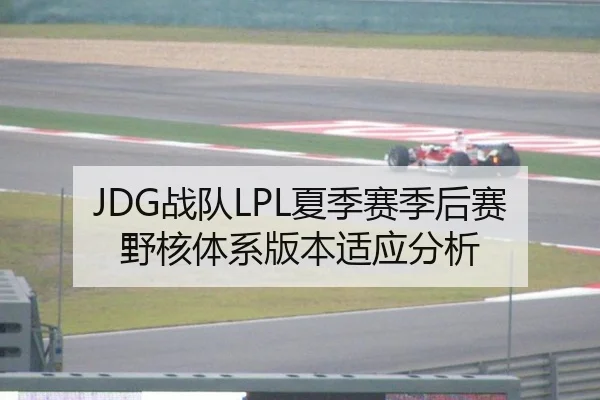 JDG战队LPL夏季赛季后赛野核体系版本适应分析