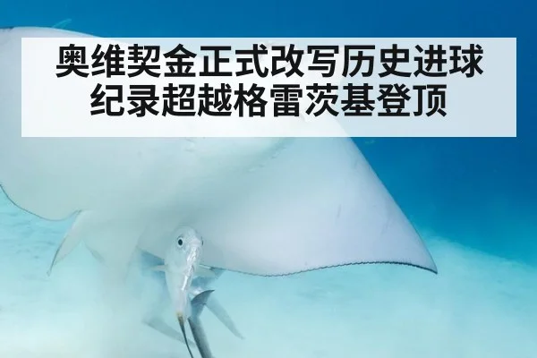 奥维契金正式改写历史进球纪录超越格雷茨基登顶